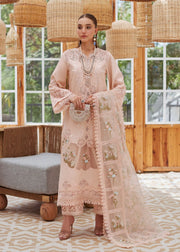 3 Piece - Crimson Dhanak Full Heavy Embroidered Suit with Wool Shawl with 4-Side Lace Border (Unstitched)