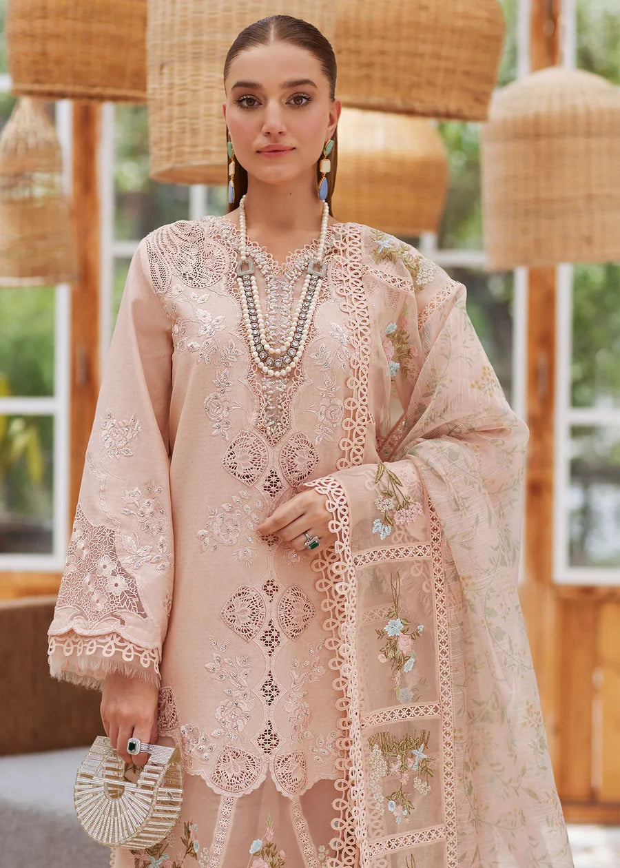 3 Piece - Crimson Dhanak Full Heavy Embroidered Suit with Wool Shawl with 4-Side Lace Border (Unstitched)