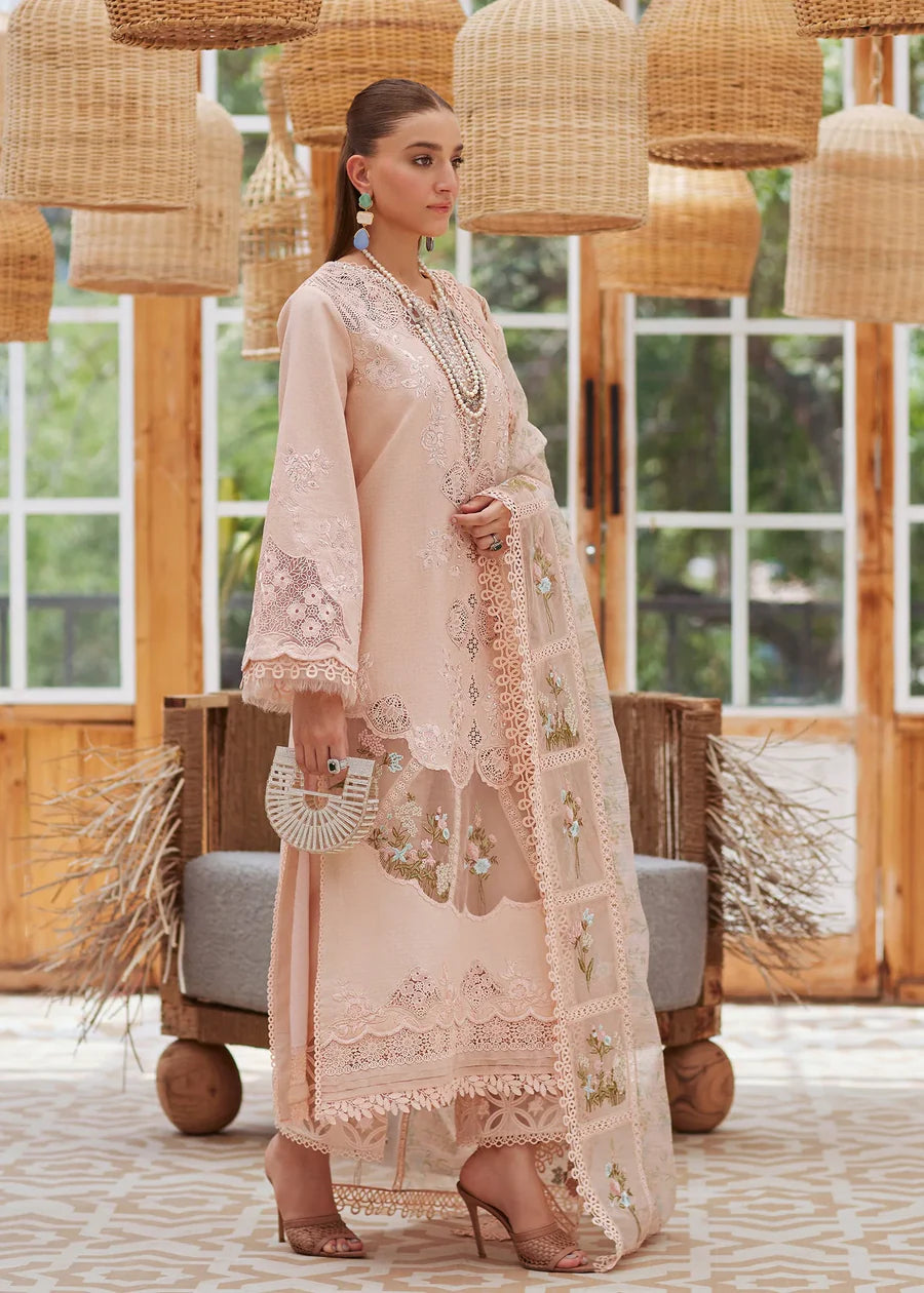 3 Piece - Crimson Dhanak Full Heavy Embroidered Suit with Wool Shawl with 4-Side Lace Border (Unstitched)