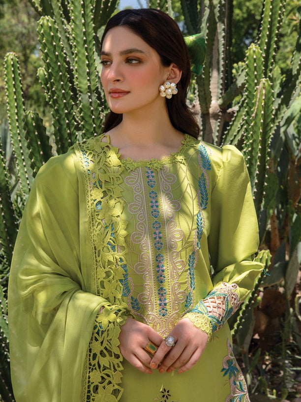 3 Piece - Dhanak Full Heavy Embroidered Suit with Printed Pashmina Wool Shawl (Unstitched)