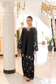 2 Piece - Dhanak Embroidered Suit with Plain Dyed Dhanak Trouser (Unstitched)